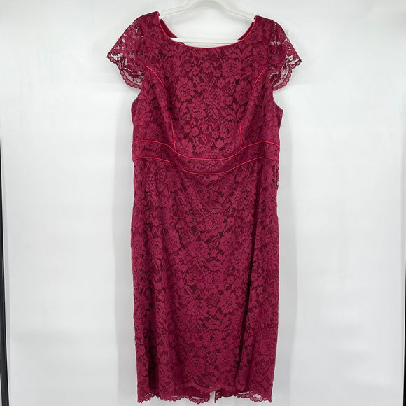 women ABS Allan Schwartz Lace Pencil Berry Pink Dress 18