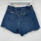 women Abercrombie & Fitch The Dad Short High Rise Blue Shorts 33/16