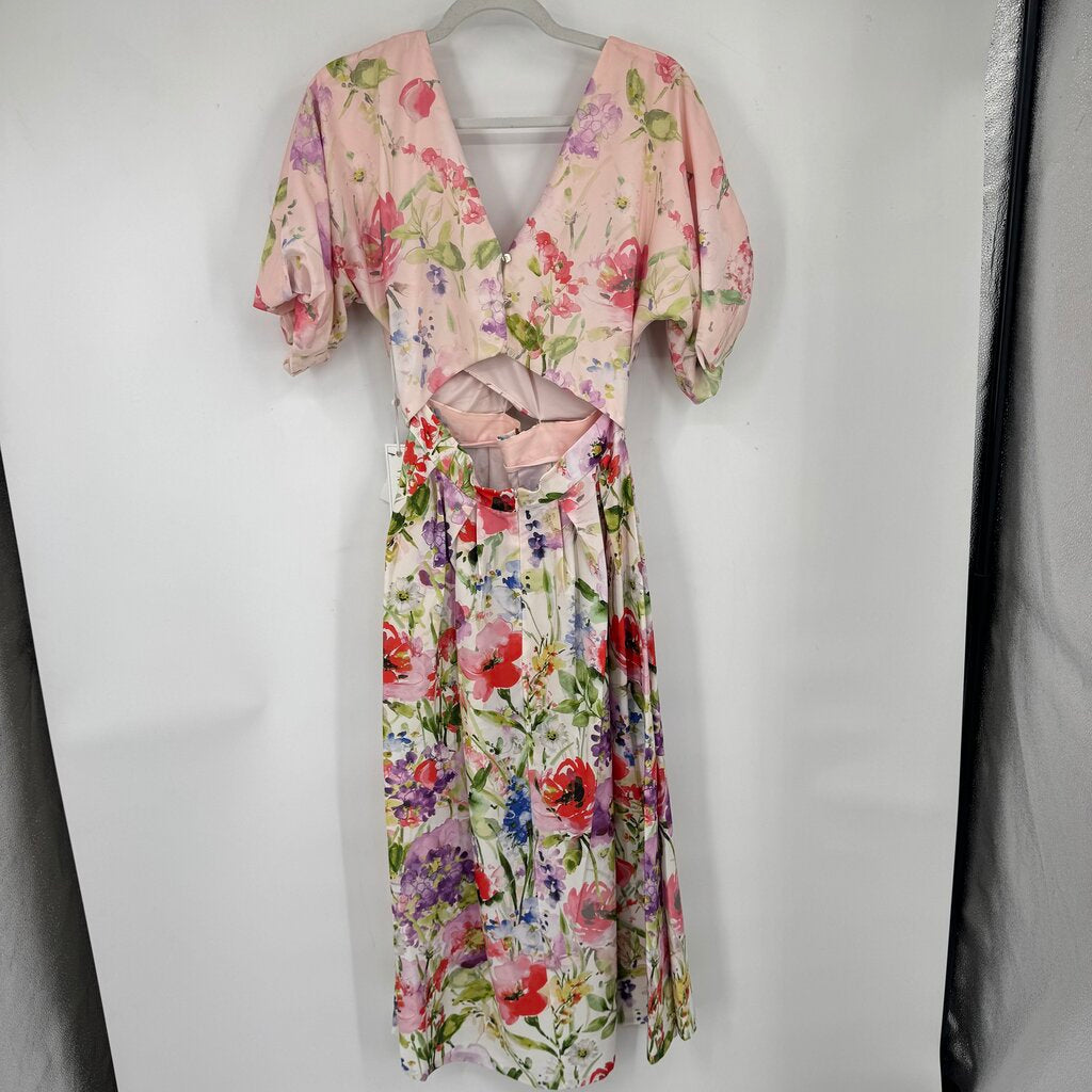 women Siena NWT MSRP $138 Drapey Cutout Floral Pink Ombre Dress 6